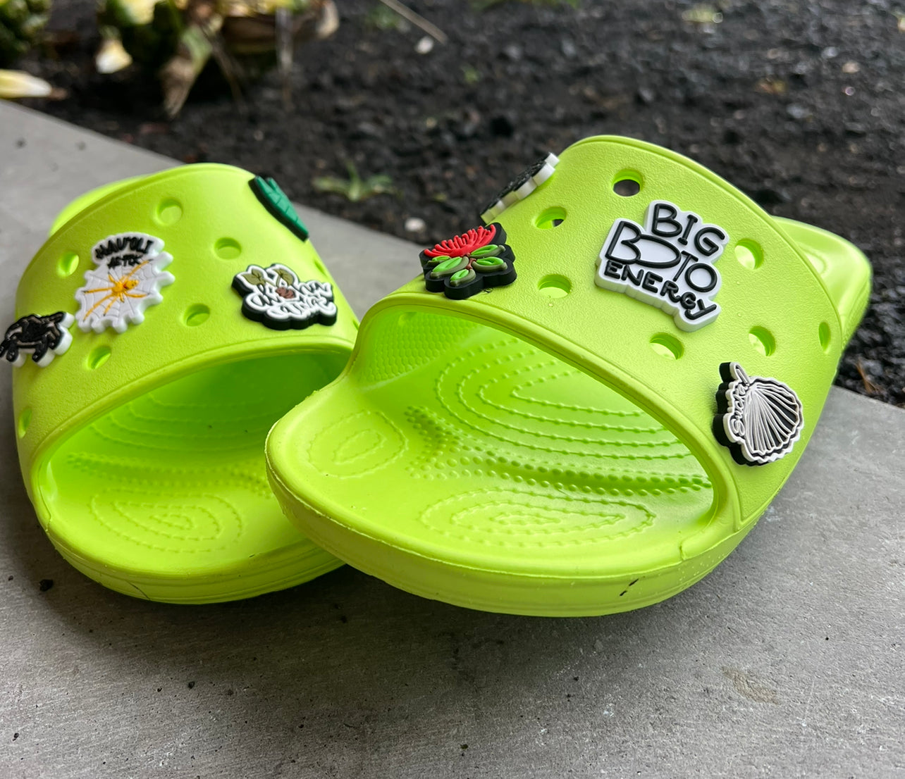 Wholesale OnlineBears Croc Charms – LoveMeGreek, chanel croc charm 